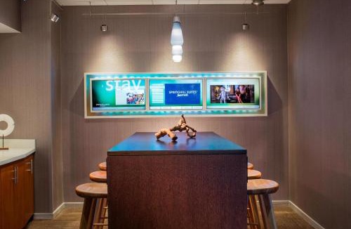 Half Day Hotel | SpringHill Suites Chicago Lincolnshire