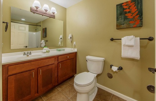 Sheridan Apartment | Studio with Access to Amazing Amenities