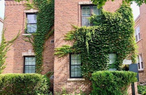Evanston Apartment | Stylish Emerald City Inspired Studio with Parking; Quiet Evanston Retreat