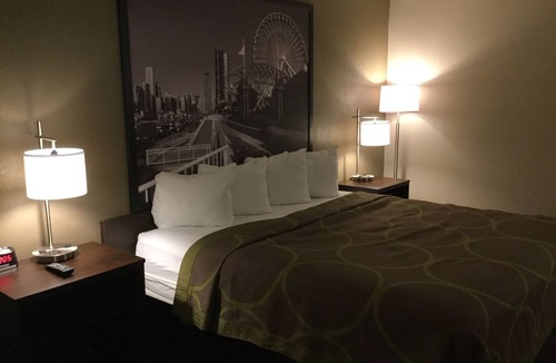 South Holland Hotel | Super 8 by Wyndham South Holland