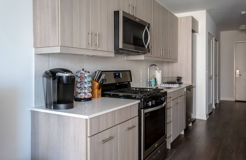 Downtown Chicago Apartment | Superb Location @TheLoop steps MillenniumPark✭