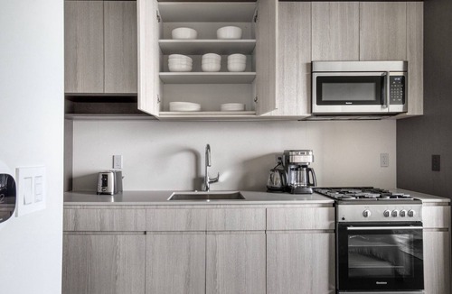 South Loop Apartment | Sweet South Loop 1BR w/Indoor Pool, Golf Sim, nr Museums, by Blueground