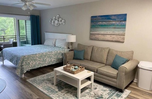 Briarcliffe Acres Apartment | Teal Turtle Lodge Studio in Ocean Creek Resort