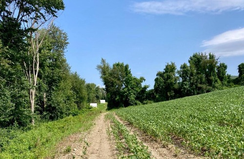 Town of Copake Other | Tentrr State Park Site - Taconic State Park High Valley Rd Site D