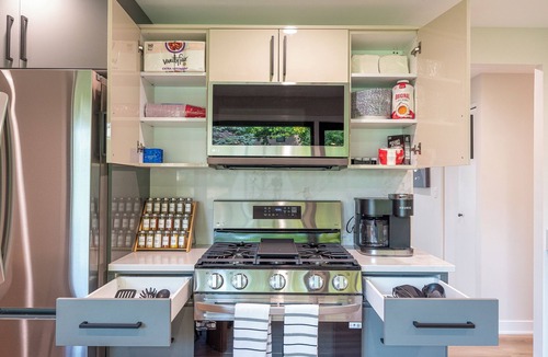 Schaumburg House | The Green House
