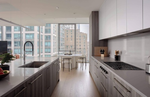 Downtown Chicago Apartment | The Lyra: Luxury Group Getaway - Two Penthouses