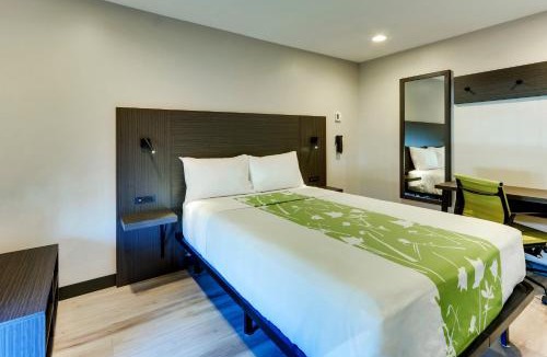 Cicero Hotel | The Shamrock