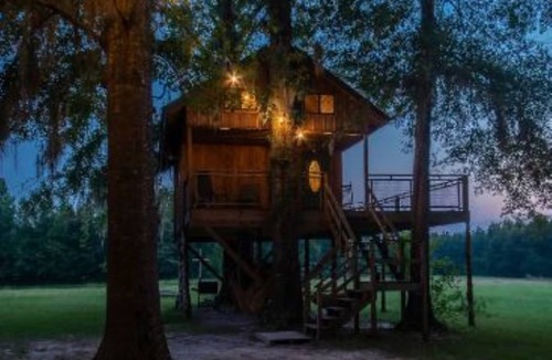 Letohatchee Cabin | Timber Retreat Rustic Tree House