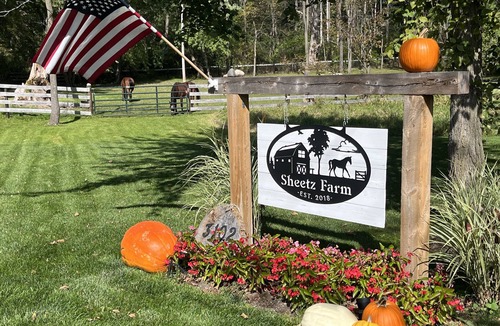 Alden House | Tiny house on a horse farm.