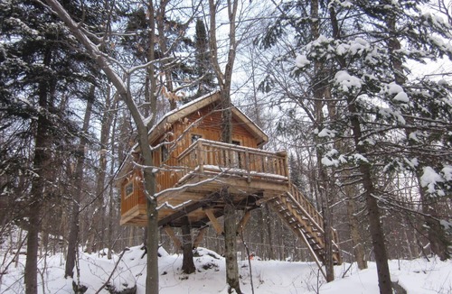Saint-Faustin-Lac-Carre House | Treehouse, forest and lake, near reception | Lodging #10