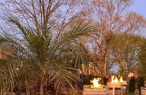 Palos Heights House | Tropical oasis 6000 ft.² estate just 30 minutes from downtown Chicago