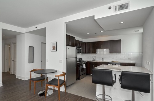 East Hyde Park Apartment | UChicago, Sci Museum | Lake View + Gym | Zen@Shoreland