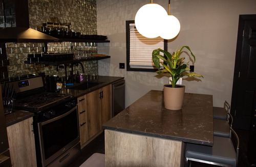 Pulaski Park House | Ultra Modern Wicker Park Pad w/HUGE Outdoor Space