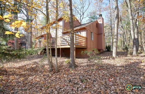 Basye Ski Chalet | Unique Mountain Cabin (#94) - Quiet, secluded woodland home!