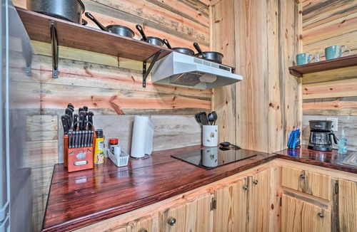 Ozark Cabin | Updated Studio Cabin in Ozark w/Yard & Mtn View
