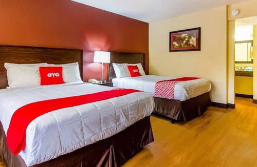 Moline House | Visit Center for Belgian Culture! 3 Posh Units, Pets are Allowed, Free Parking