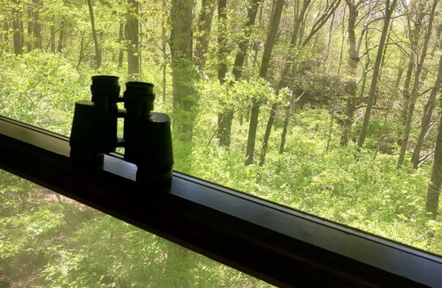 Murphysboro House | Water|Woods|Wildlife|Wonders Abound-The Only Lakefront Rental on Kinkaid in SNF
