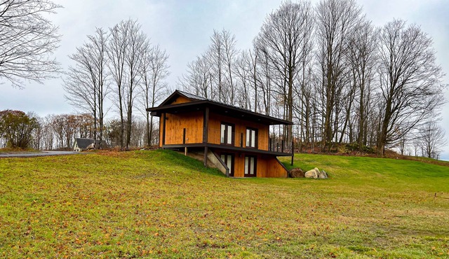 Charming getaway for two with fast WiFi, full kitchen, deck, & shared firepit