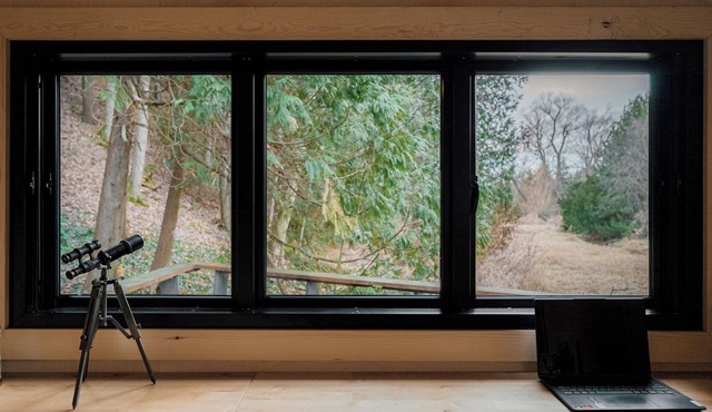 Cozy tiny house surrounded by a private forest near Toronto .