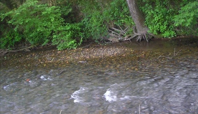 Darling Mountain Getaway/Eight Acres with Secluded Creek Area