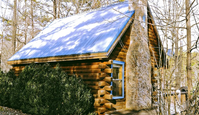 MacLeod cabin in Scottish Woods