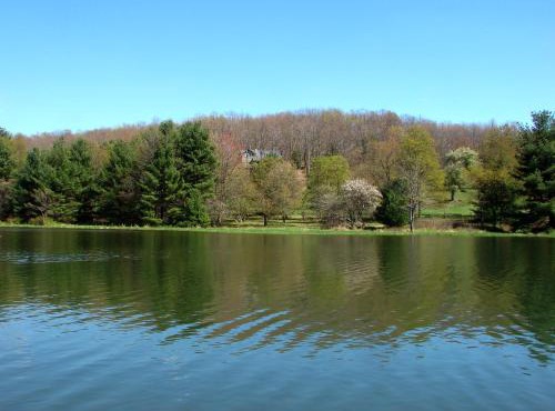 Meadow Lake View