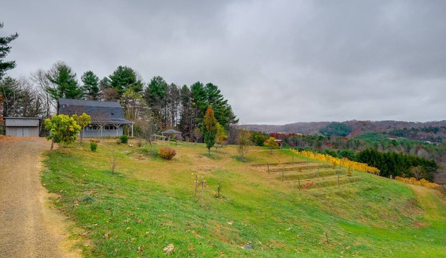Pet-Friendly Pilot Studio w/Vineyard Views!