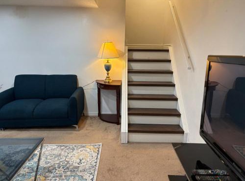 Spacious Basement Apartment in GTA