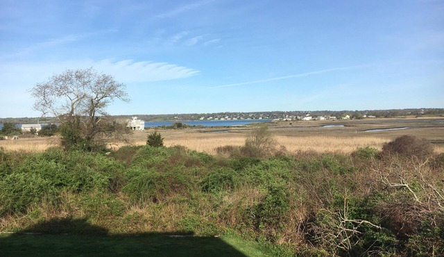 SPRING INTO SAVINGS Large Tranquil, Private Suite By The Sea, Birders Paradise