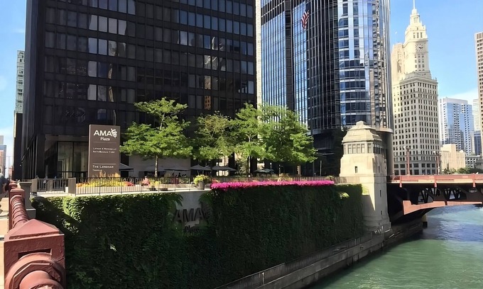 Downtown Chicago House | Group Vacation! 2 Spacious Units Near Oak Street Beach! Onsite Parking!