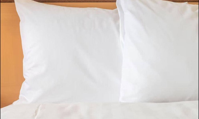 O'Hare Hotel | Hotel ∙ 127 guests