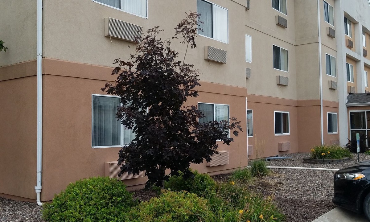 Quad Cities Hotel | AmericInn by Wyndham Moline Airport Quad Cities