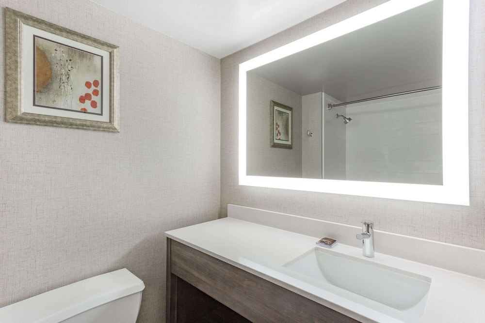 Photo of Bathroom in Tinley Park