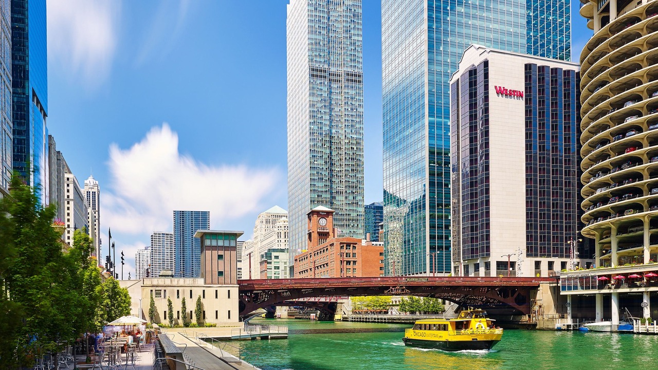 Photo of Others in Downtown Chicago