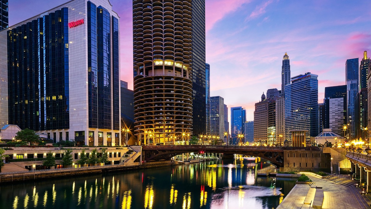 Photo of Others in Downtown Chicago