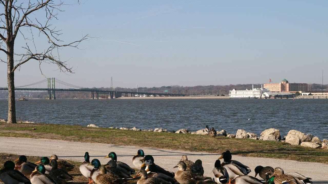Photo of Others in Quad Cities