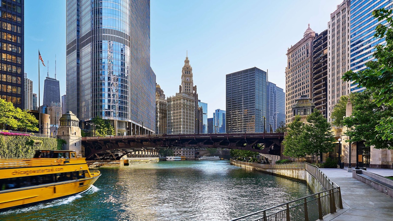 Photo of Others in Downtown Chicago