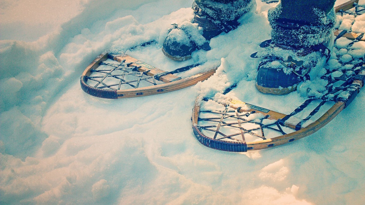 Photo of Outdoor in Itasca