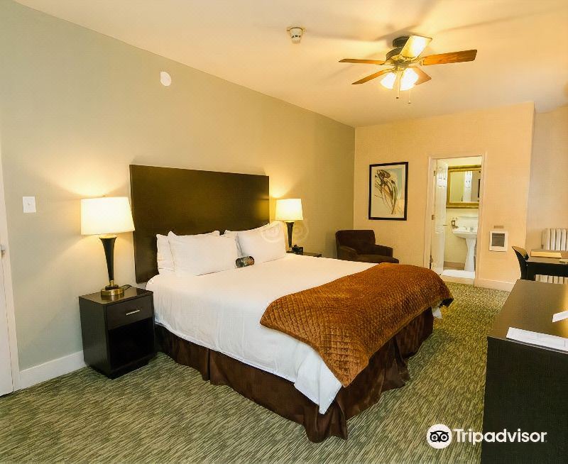 Photo of Bedroom in Lake View East