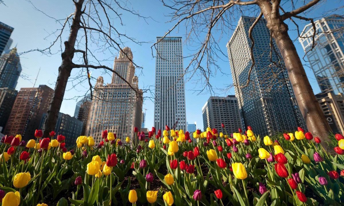 Photo of Buildings in Park West