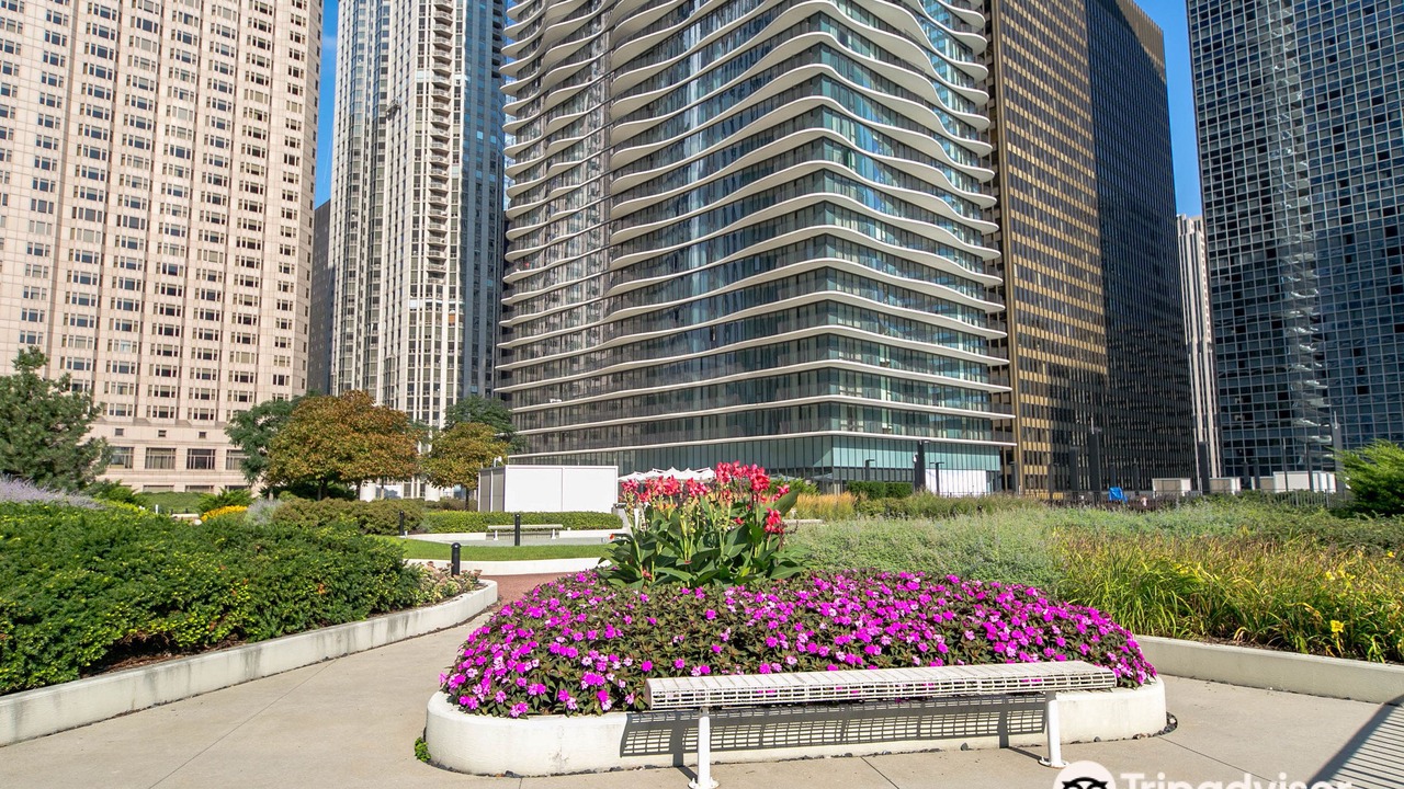 Photo of Buildings in Lakeshore East