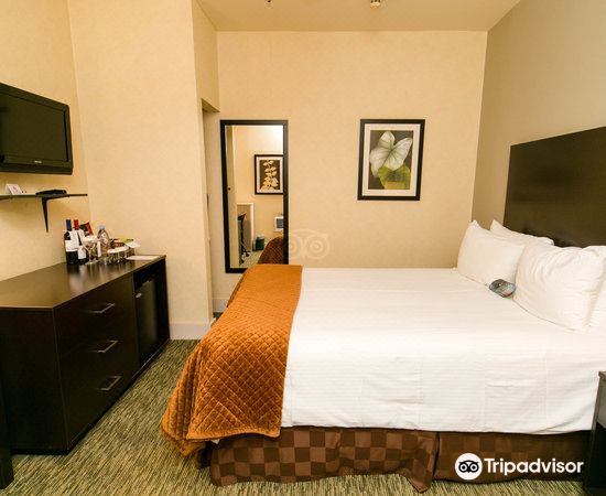 Photo of Bedroom in Lake View East