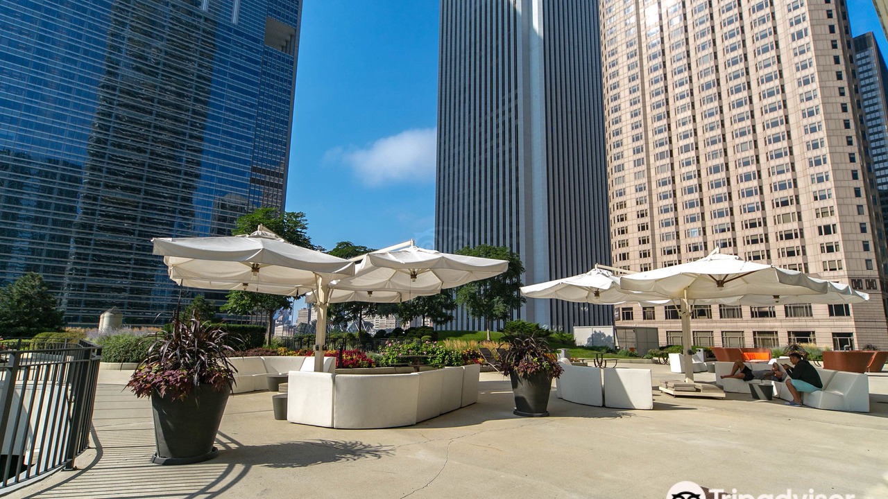 Photo of Buildings in Lakeshore East