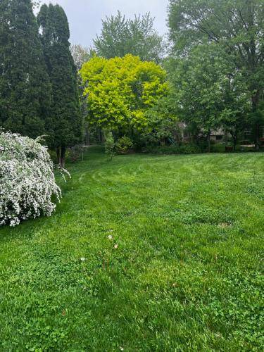 Photo of Outdoor in Bolingbrook