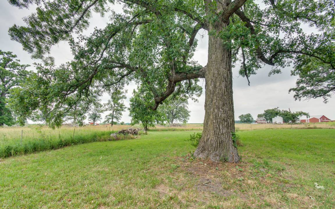 Photo of Others in Graymont