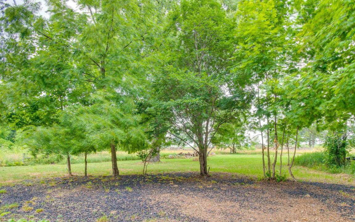 Photo of Outdoor in Graymont