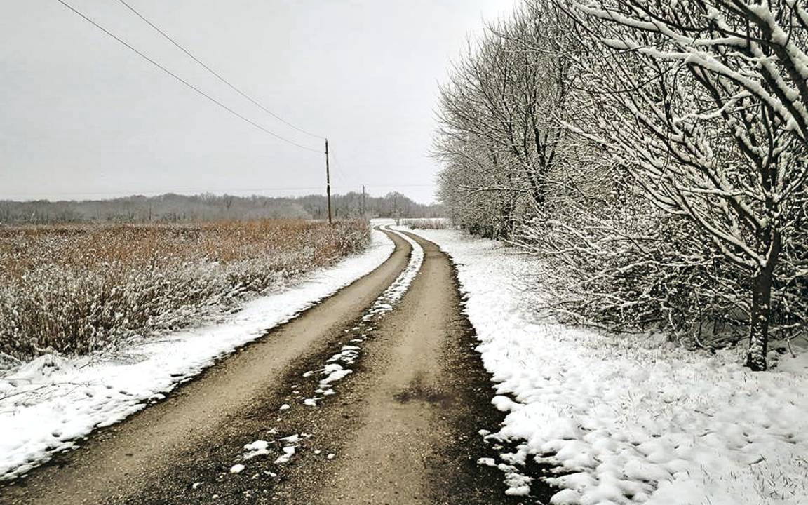 Photo of Others in Murrayville