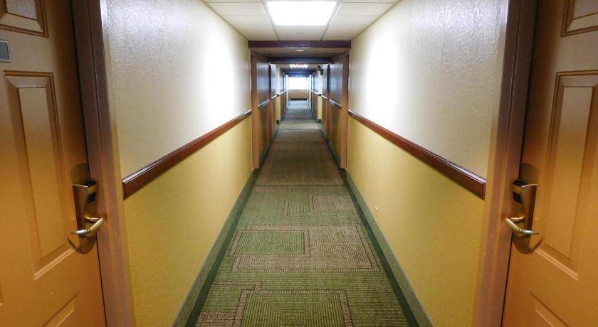 Photo of Others in Arlington Heights