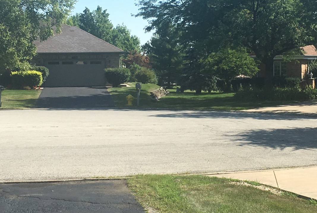 Photo of Others in Olympia Fields