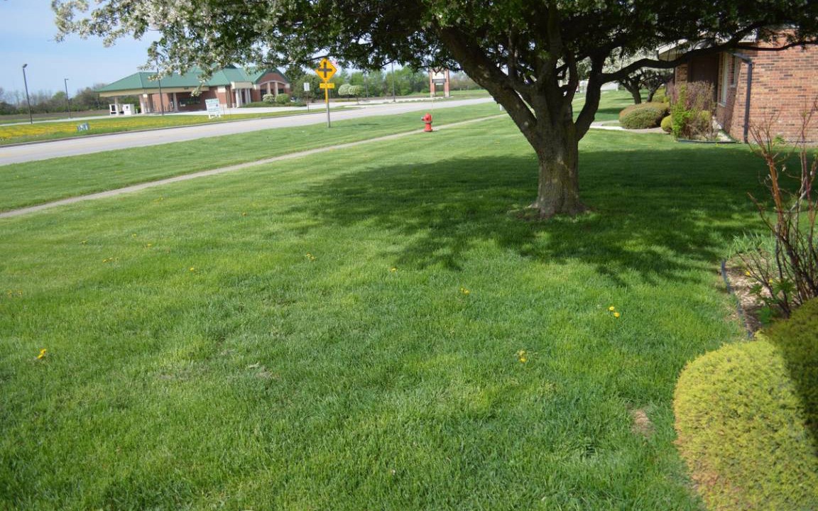 Photo of Others in Peotone